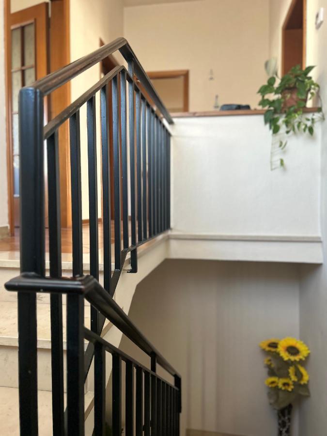 Albi'S House,Terrazza ,Wi-Fi, Parcheggio, Ac Διαμέρισμα Λούκα Εξωτερικό φωτογραφία