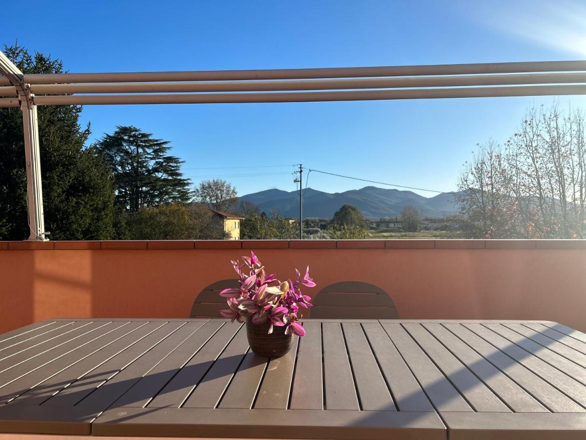 Albi'S House,Terrazza ,Wi-Fi, Parcheggio, Ac Διαμέρισμα Λούκα Εξωτερικό φωτογραφία