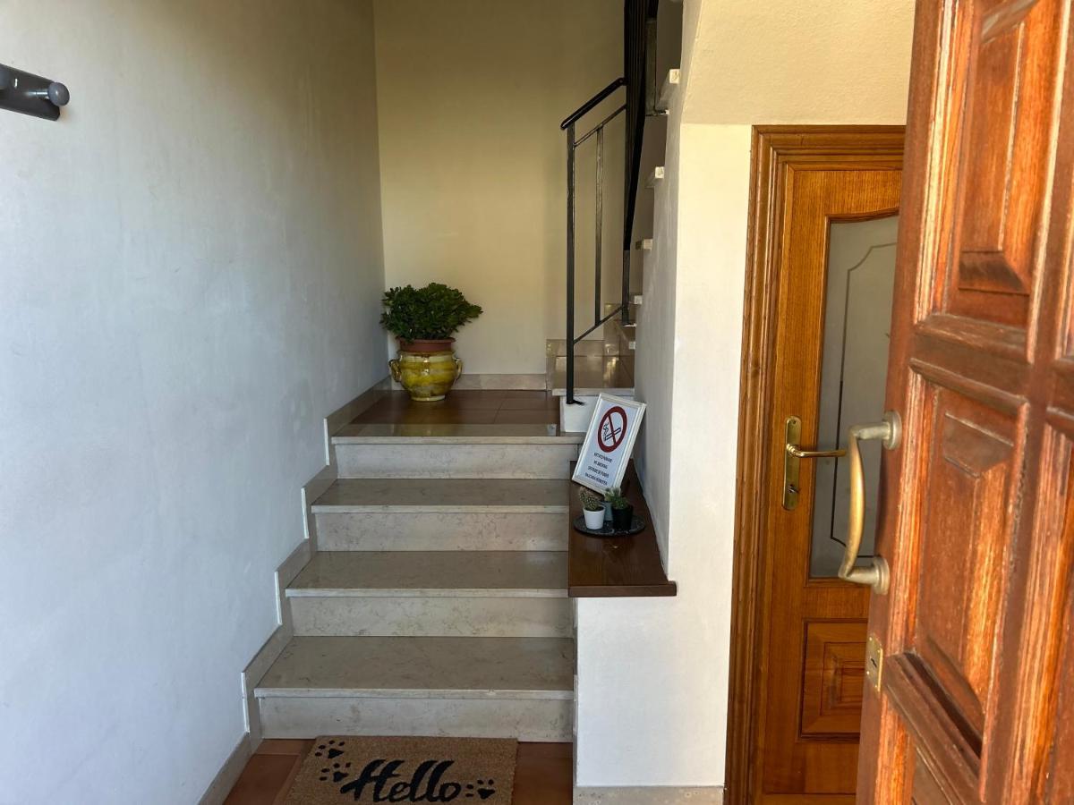 Albi'S House,Terrazza ,Wi-Fi, Parcheggio, Ac Διαμέρισμα Λούκα Εξωτερικό φωτογραφία