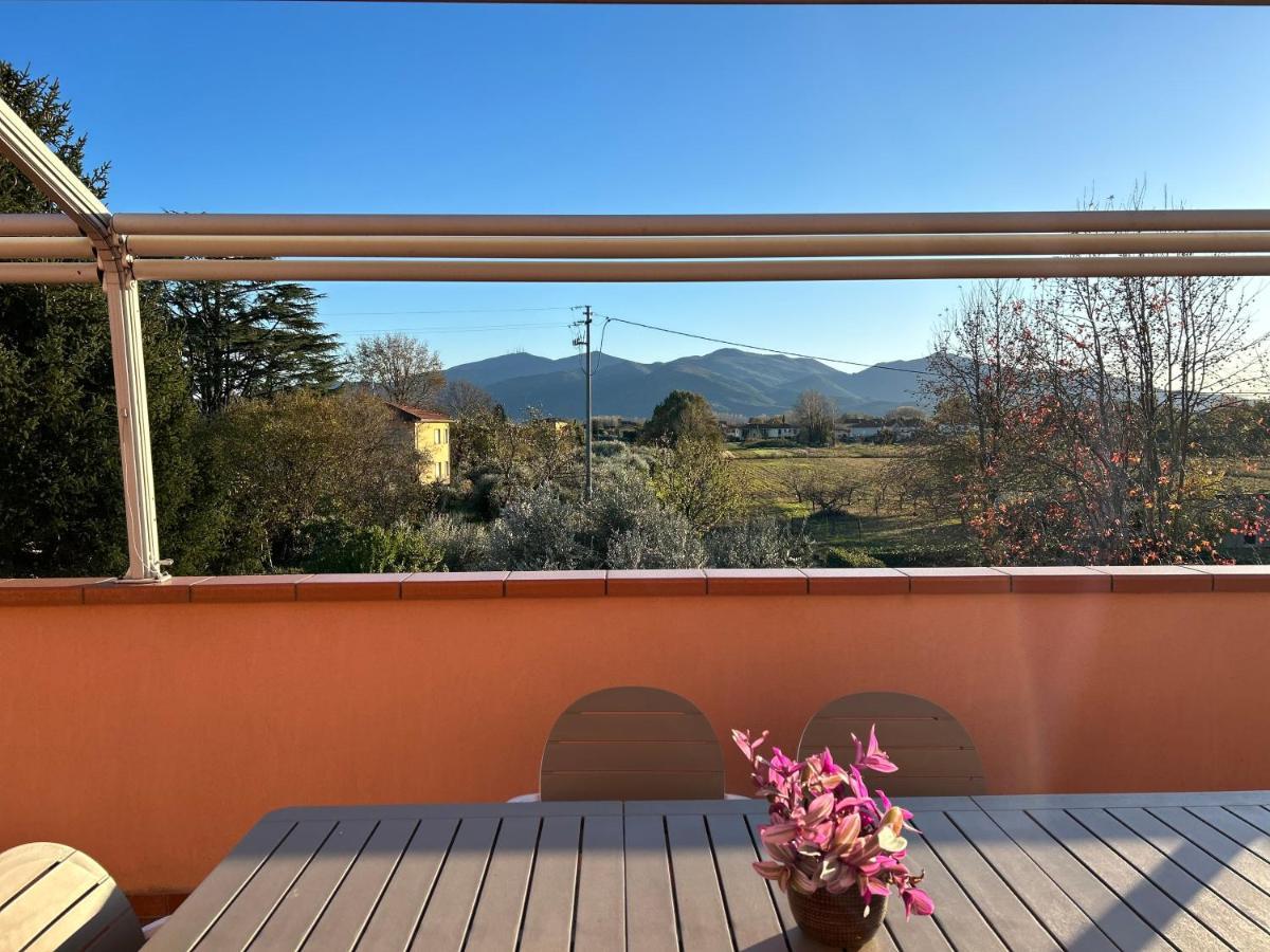 Albi'S House,Terrazza ,Wi-Fi, Parcheggio, Ac Διαμέρισμα Λούκα Εξωτερικό φωτογραφία