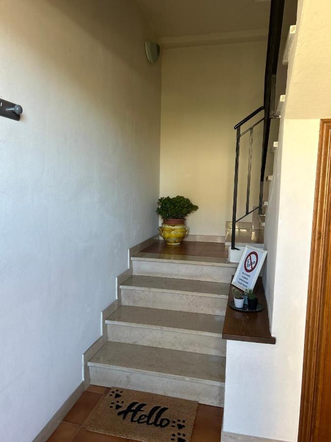 Albi'S House,Terrazza ,Wi-Fi, Parcheggio, Ac Διαμέρισμα Λούκα Εξωτερικό φωτογραφία